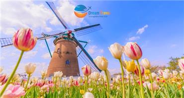 Tour Nhật Bản Lễ Hội Hoa Anh Đào - Hoa Tulip 2026